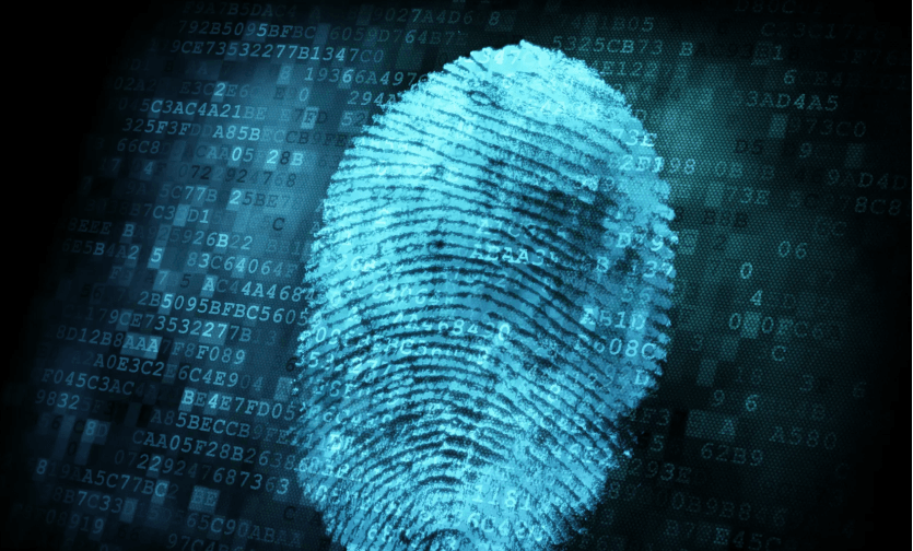 Digital fingerprint over data matrix representing system introspection and legacy IT security