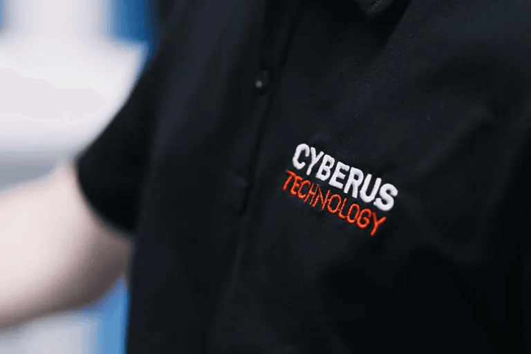 process of systematically monitoring and testing software